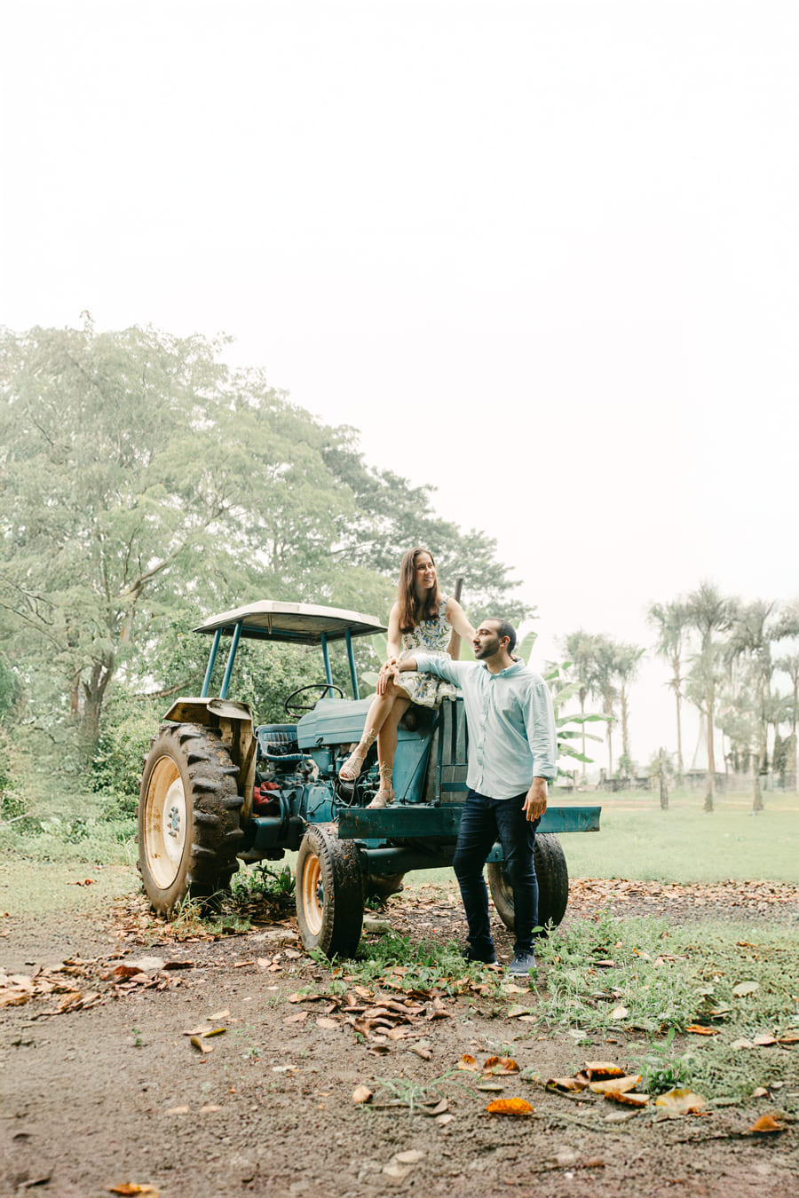 Descripción de la imagen 34